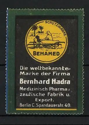 Reklamemarke Medizinische Pharmazeutische Fabrik & Export Bernhard Hadra, Berlin, Spandauerstr. 40, Krankenbett