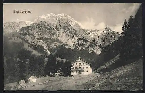 AK Bad Leogang, Hotel vor Gebirgswand