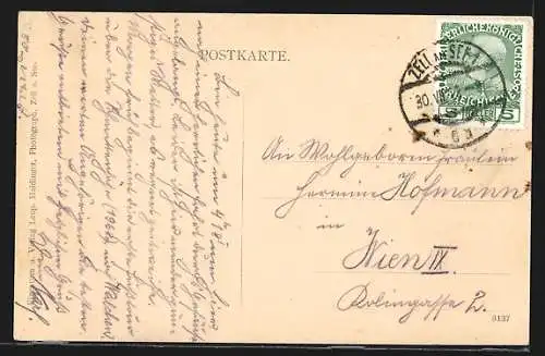 AK Zell a. See, Hotel Bellevue mit Ortsblick