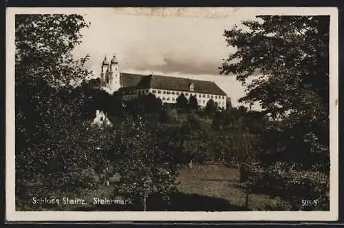 AK Stainz / Steiermark, Blick auf das Schloss Stainz