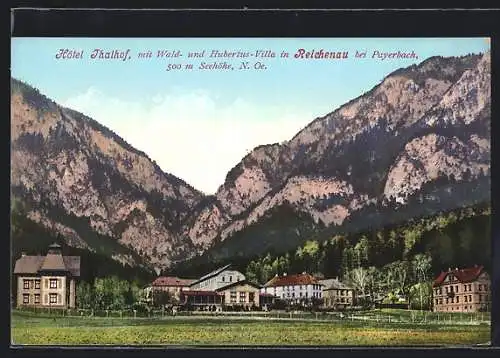 AK Reichenau bei Payerbach, Hotel Thalhof mit Wald- und Hubertus-Villa