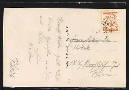 AK Aspang, Ortsansicht mit Umgebung