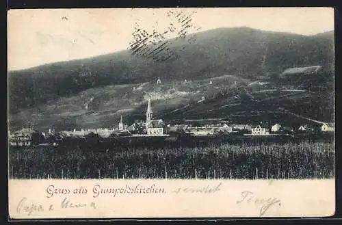 AK Gumpoldskirchen, Ortsansicht mit Kirche