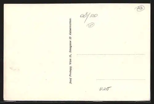 AK Sarleinsbach, Ortsansicht mit Marktplatz und Kirche im Hintergrund