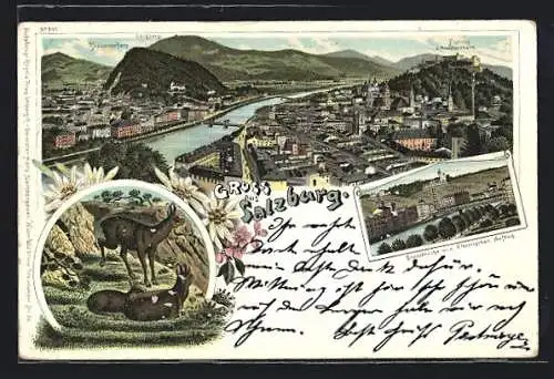 Lithographie Salzburg, Stadtbrücke mit elektrischem Aufzug, Bergziegen, Totalansicht mit Bergen