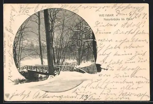 AK Weimar / Thür., Naturbrücke im Park an einem verschneiten Wintertag