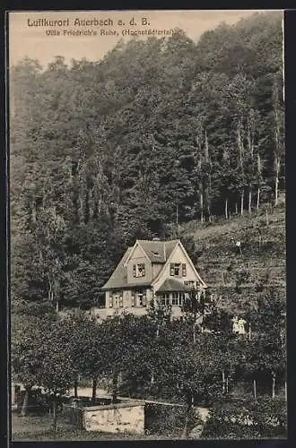 AK Auerbach / Bergstrasse, Hotel Villa Friedrich's Ruhe, Hochstädtertal