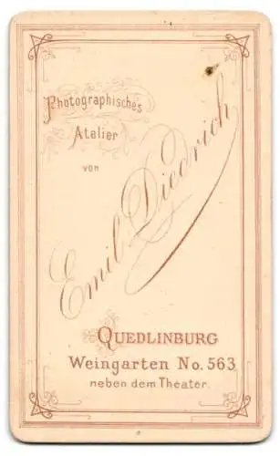 Fotografie Emil Diedrich, Quedlinburg, Weingarten 563, Bürgerlicher Herr mit zurückgekämmtem Haar und Vollbart