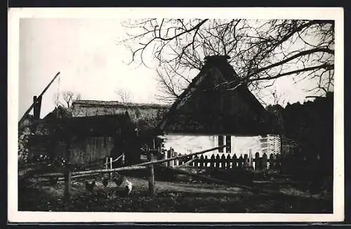 AK Taiskirchen /O.-Ö., Partie am Bauernhof mit Hühnern