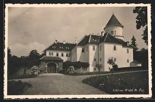 AK Wald /N.-Öst., Wegpartie vor dem Schloss