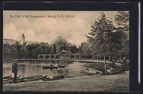 AK Aspang /N.-Ö., Partie am Teich, Ruderer auf dem Wasser