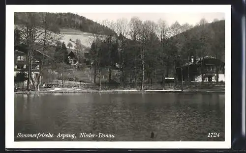 AK Aspang /Nieder-Donau, Blick über den Teich im Herbst