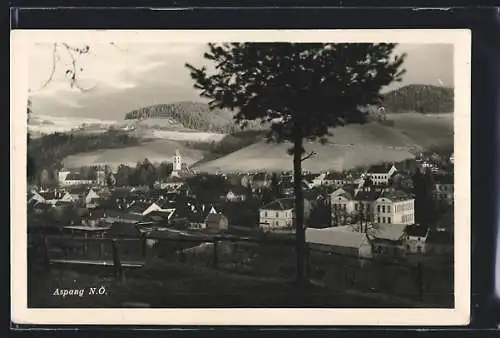 AK Aspang, Ortsansicht mit Kirche aus der Vogelschau