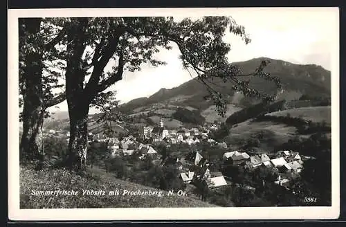 AK Ybbsitz /N.-Oe., Teilansicht mit Prochenberg