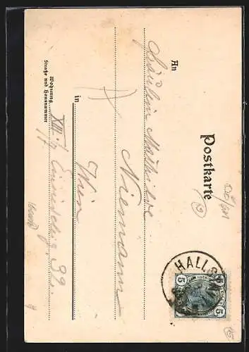 AK Hallstatt, Mühlbachfall, von unten gesehen