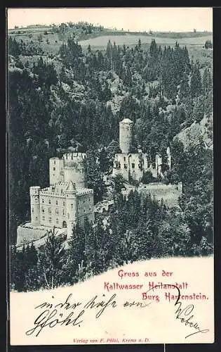 AK Weinzierl am Walde, Kaltwasser Heilanstalt Burg Hartenstein aus der Vogelschau