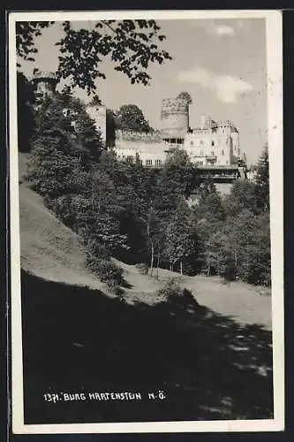 AK Weinzierl am Walde, Burg Hartenstein im Sonnenschein