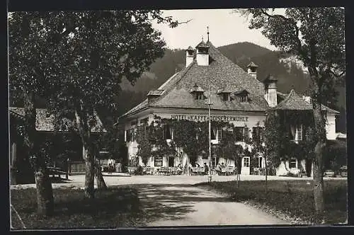 AK Goisern, Hotel-Café Goiserermühle