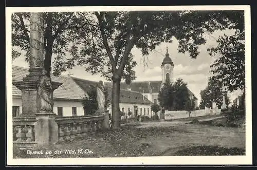 AK Blumau an der Wild, Ortspartie mit Kirche