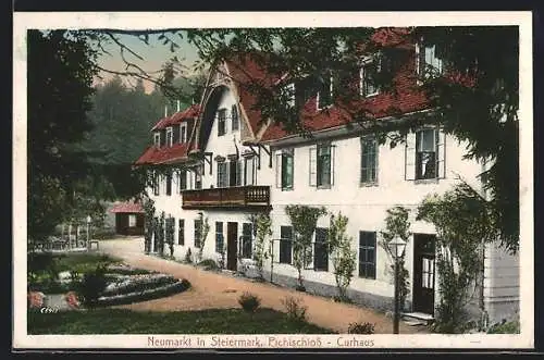 AK Neumarkt in Steiermark, Pichlschloss, Curhaus mit Anlagen