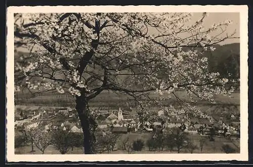 AK Rossatz i. d. Wachau, Ortsansicht hinter blühendem Baum