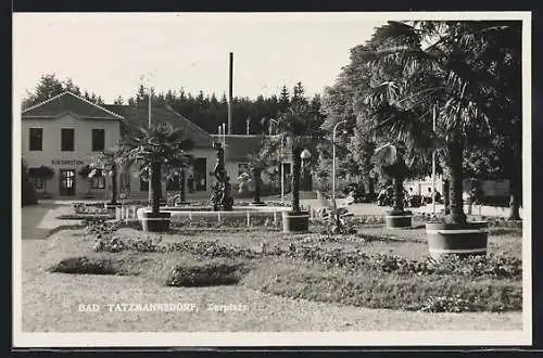 AK Bad Tatzmannsdorf, Kurplatz mit Palmen