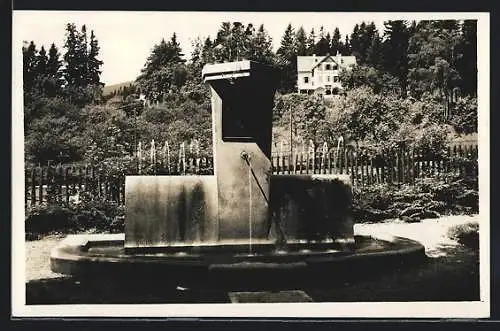 AK St. Radegund am Schöckl, Partie am Brunnen