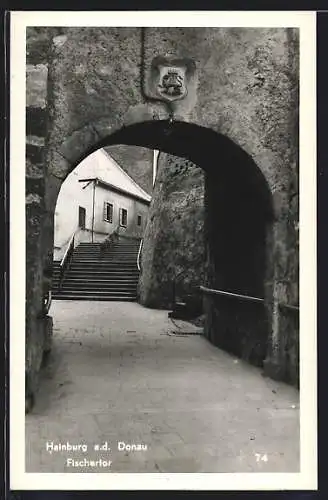 AK Hainburg a. d. Donau, Fischertor mit Strassenpartie