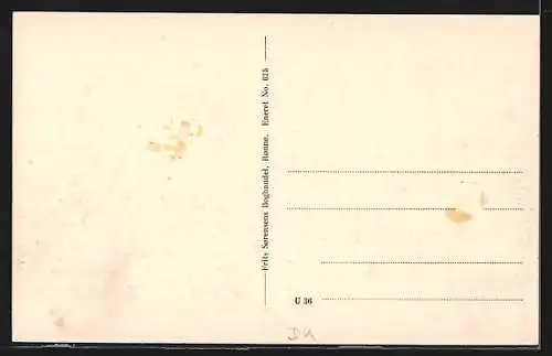 AK Bornholm, Udsigt mod Sandvig fra Hammeren