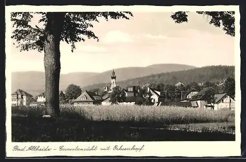 AK Bad Altheide, Gesamtansicht mit Ochsenkopf