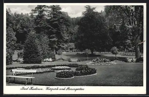 AK Bad Kudowa, Kurpark und Rosengarten
