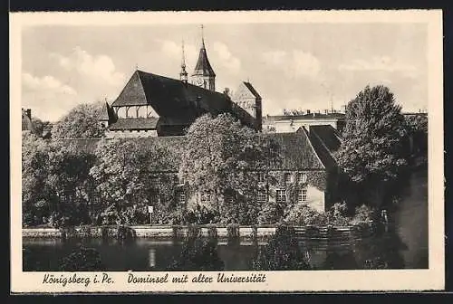 AK Königsberg /Pr., Dominsel mit alter Universität