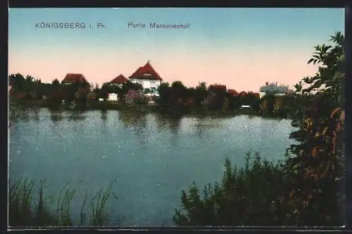 AK Königsberg i. Pr., Partie am Marounenhof