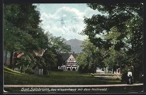 AK Bad Salzbrunn, Wiesenhaus mit dem Hochwald