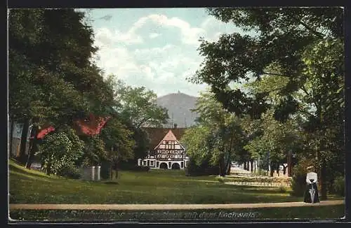 AK Bad Salzbrunn, Das Wiesenhaus mit dem Hochwald