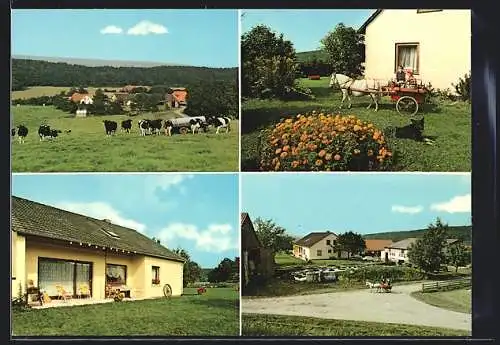 AK Auetal /Weserbergland, Ferienbauernhof Siegfried Kirchner, Bodenerngern 9, Kinder mit Ponywagen, Wiese mit Kühen