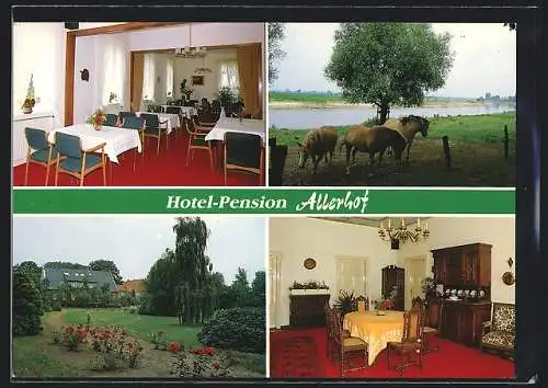 AK Rethem-Bosse in der Südheide, Hotel-Pension Allerhof mit Innenansichten und Pferdekoppel