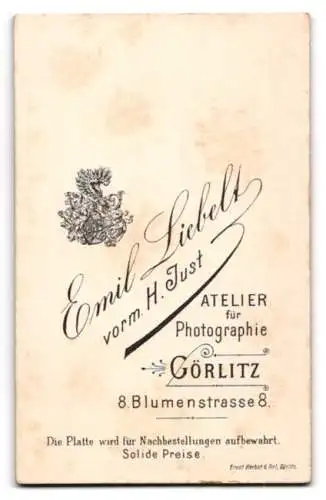 Fotografie Emil Liebelt, Görlitz, Blumenstrasse 8, Junge Dame im Kleid mit Zierknöpfen und Spitzenbesatz