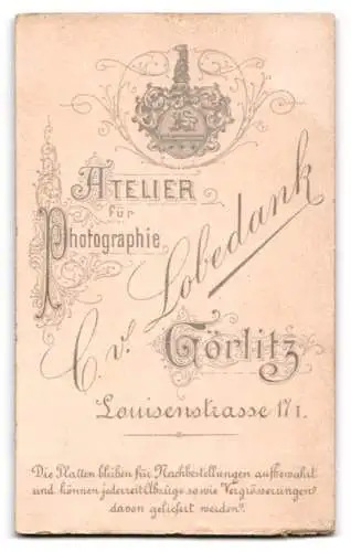 Fotografie C. von Lobedank, Görlitz, Louisenstrasse 17, Junger Herr mit Seitenscheitel und Fliege