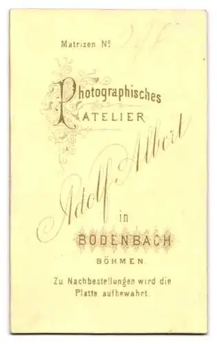 Fotografie Adolf Albert, Bodenbach /Böhmen, Bartloser Herr mit Mittelscheitel und Krawatte