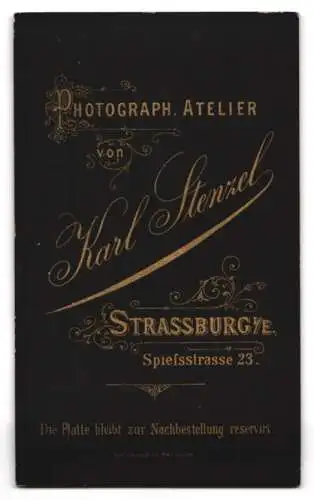 Fotografie Karl Wenzel, Strassburg i. E., Spielstrasse 23, Elegante junge Dame mit kunstvoller Frisur und Brosche