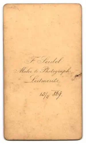 Fotografie F. Seidel, Leitmeritz, Junger Mann mit pomadisiertem Haar mit Mantel und Krawatte