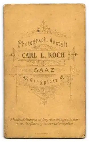 Fotografie Carl L. Koch, Saaz, Ringplatz 42, Junge Frau im taillierten Kleid mit Rüschenkragen, mit markanter Kette