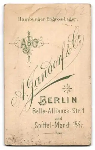 Fotografie A. Jandorf & Co., Berlin, Belle-Alliance-Str. 1, Junge Dame im Kleid mit gepuffter Schulterpartie