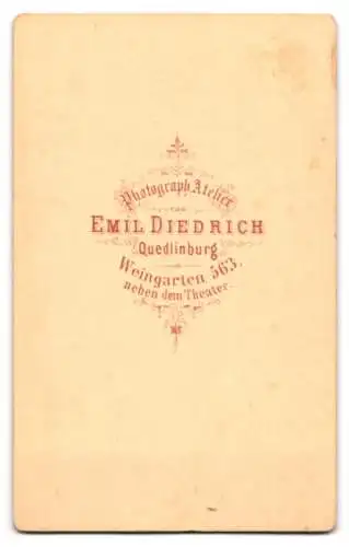 Fotografie Emil Diedrich, Quedlinburg, Weingarten 563, Junge Dame mit aufwendig fristiertem Haar und einer Brosche