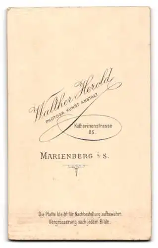 Fotografie Walther Herold, Marienberg i. S., Katharinenstrasse 85, Junge Frau in gestreifter Bluse und schwarzem Rock