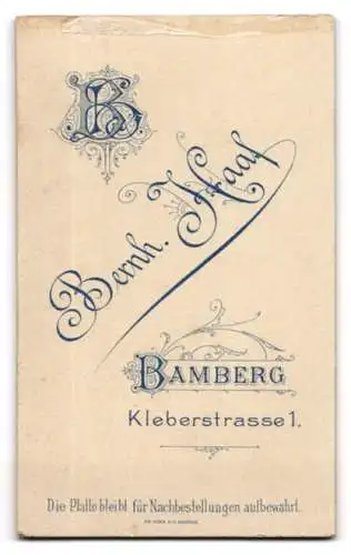 Fotografie B. Haaf, Bamberg, Kleberstr. 1, Junge Dame im Kleid mit verzierten Puffärmeln