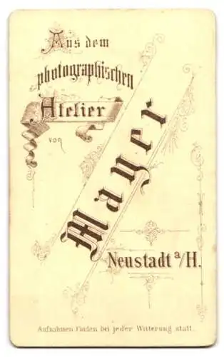 Fotografie Atelier Mayer, Neustadt a. H., Junge Dame im langen taillierten Kleid, mit hochgestecktem Haar