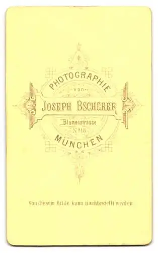 Fotografie Joseph Bscherer, München, Blumenstrasse 18, Junger Mann mit lichtem Haar und Backenbart