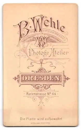 Fotografie B. Wehle, Dresden, Marienstr. 44, Junge Dame im schwarzen Kleid mit Fächer und Silberkette
